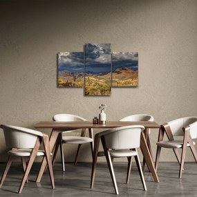 Obraz - kaktusy v prírode (90x60 cm)