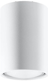 Stropné svietidlo Lagos, 1x biele kovové tienidlo, (10 cm)
