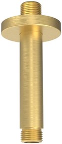 Sapho Sapho, Stropní sprchové ramienko, guľaté, 200mm, zlato mat, 1205-05GB