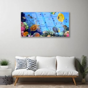 Obraz na skle Koralový útes ryba príroda 125x50 cm