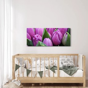 Obraz - kvety tulipánov (120x50 cm)