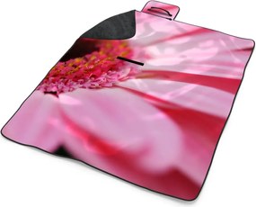 Sablio Plážová deka Ružová gerbera: 200x140 cm