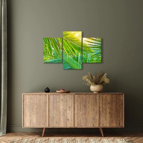 Obraz - Palmové listy (90x60 cm)