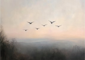 Obraz - Hejno vtákov (70x50 cm)