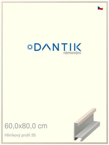 DANTIK rám na obraz 60x80 | ALU Dýha slonová kost (Plexi Čiré)