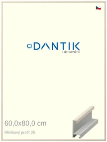 DANTIK rám na obraz 60x80 | ALU Dýha slonová kost (Plexi Čiré)