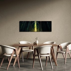 Obraz temného lesa (s hodinami) (90x30 cm)