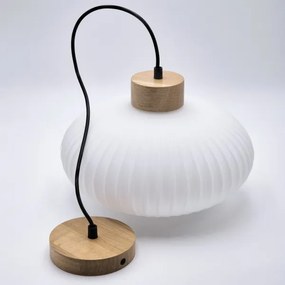 Luster na lanku HARMONY 1xE27/15W/230V pr. 30 cm biela/dub