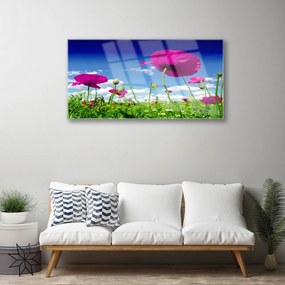 Obraz plexi Lúka kvety nebo príroda 100x50 cm