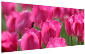 Obraz - Ružové tulipány (120x50 cm)