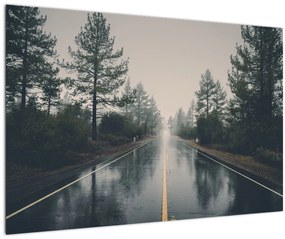 Obraz cesty v daždi (90x60 cm)