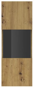 Vitrína na stenu Avernic Typ 07 (čierna + dub artisan). Vlastná spoľahlivá doprava až k Vám domov. 1042055