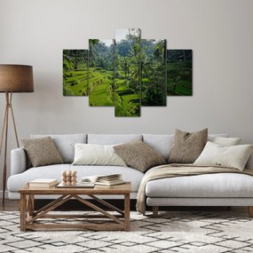 Obraz ryžových terás Tegalalang, Bali (150x105 cm)