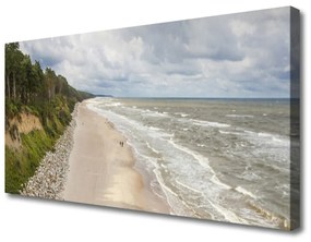 Obraz na plátne Pláž more strom príroda 100x50 cm