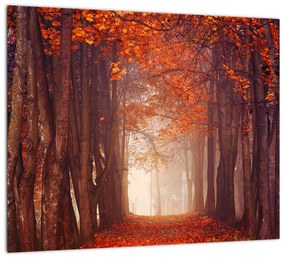 Jesenné les - obraz
