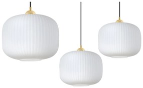 Závesné svietidlo Riffle 3, 1x biele sklenené tienidlo, b/g