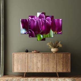 Obraz tulipánov (150x105 cm)