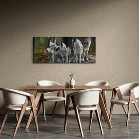 Obraz - Vlci na skale (120x50 cm)