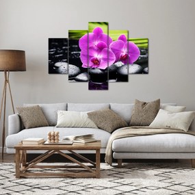 Obraz - Orchidey (150x105 cm)