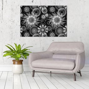 Obraz - Čiernobiele bodliaky (90x60 cm)