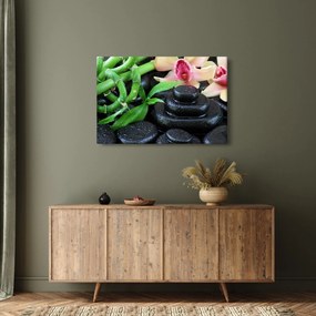 Obraz - Kamene a orchidey (90x60 cm)