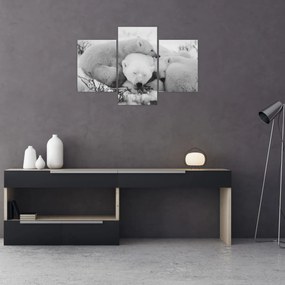 Obraz - Ľadové medvede (90x60 cm)
