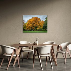 Sklenený obraz stromu (70x50 cm)
