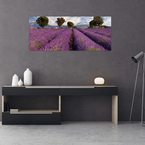 Obraz - Levanduľové pole a hory (120x50 cm)