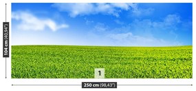 Fototapeta Vliesová Zelená tráva 152x104 cm