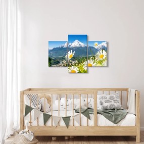 Obraz - Jar v Alpách (90x60 cm)