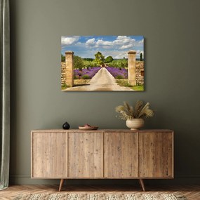 Obraz - Levanduľové cesty (90x60 cm)