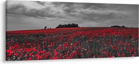 Obraz vlčích makov (120x50 cm)