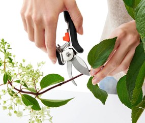 Záhradnícke mininožnice, 2 ks