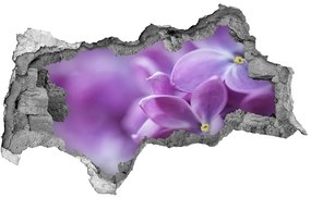 Samolepiaca diera na stenu Fialové kvety nd-b-64853789