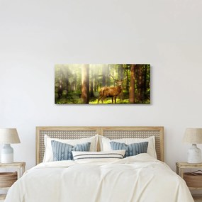 Obraz jeleňa v lese (120x50 cm)