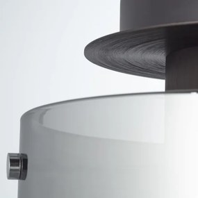 Brilliant - Stropné svietidlo BETH 1xE27/60W/230V Ø 20 cm čierna/dymová