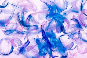 Nádherná samolepiaca tapeta modro-fialové pierka