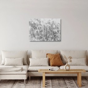 Sklenený obraz - Chladná zima (70x50 cm)