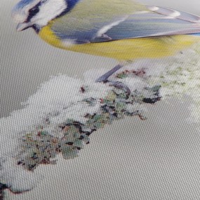 Obraz - Sýkorka modrinka v lese (90x60 cm)