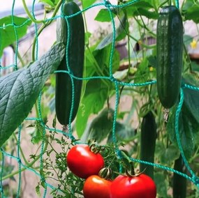 Záhradná oporná konštrukcia s mriežkou 1,8 x 2,7 m