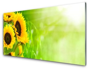 Obraz na skle Slnečnicami rastlina 120x60 cm