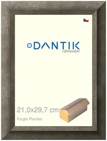 DANTIK rám na obraz 21x29,7 | Forgia Piombo (Sklo Čiré)