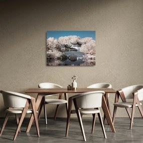 Sklenený obraz - Rozkvitnuté stromy v Ázii (70x50 cm)