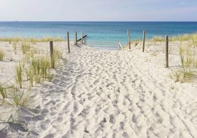 Fototapeta - Pláž a výhľad na more (254x184 cm)