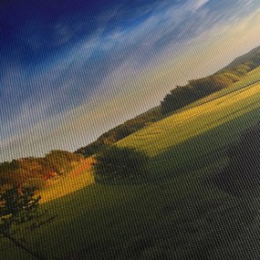 Obraz - Horská lúka (70x50 cm)