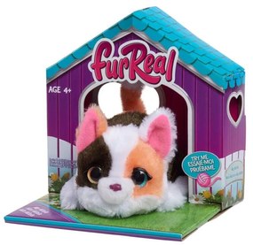 FUR REAL MY MINI'S KOTE