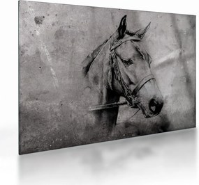 Sklenený obraz - Portrét koňa (70x50 cm)