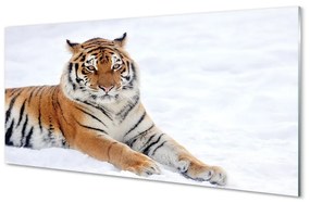 Sklenený obraz Tiger winter 125x50 cm
