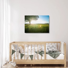 Sklenený obraz stromu v poli (70x50 cm)