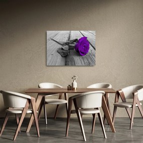 Sklenený obraz - Fialová ruža so zelenou stonkou (70x50 cm)